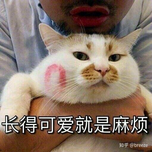 我是网红表情包,网络潮流的笑点担当